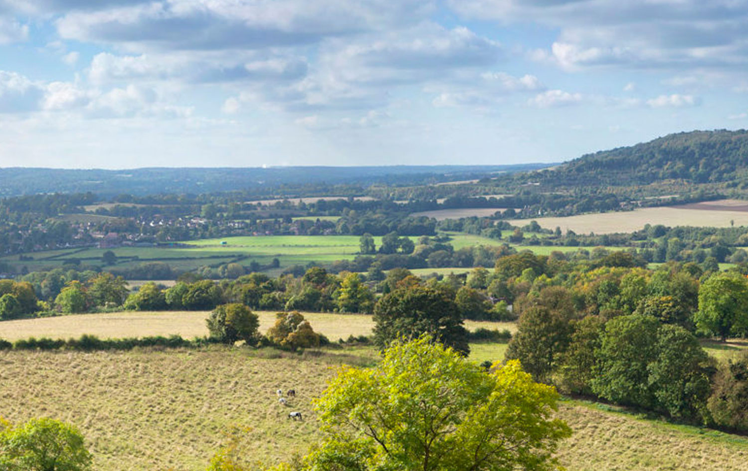 A view of the Darent Valley