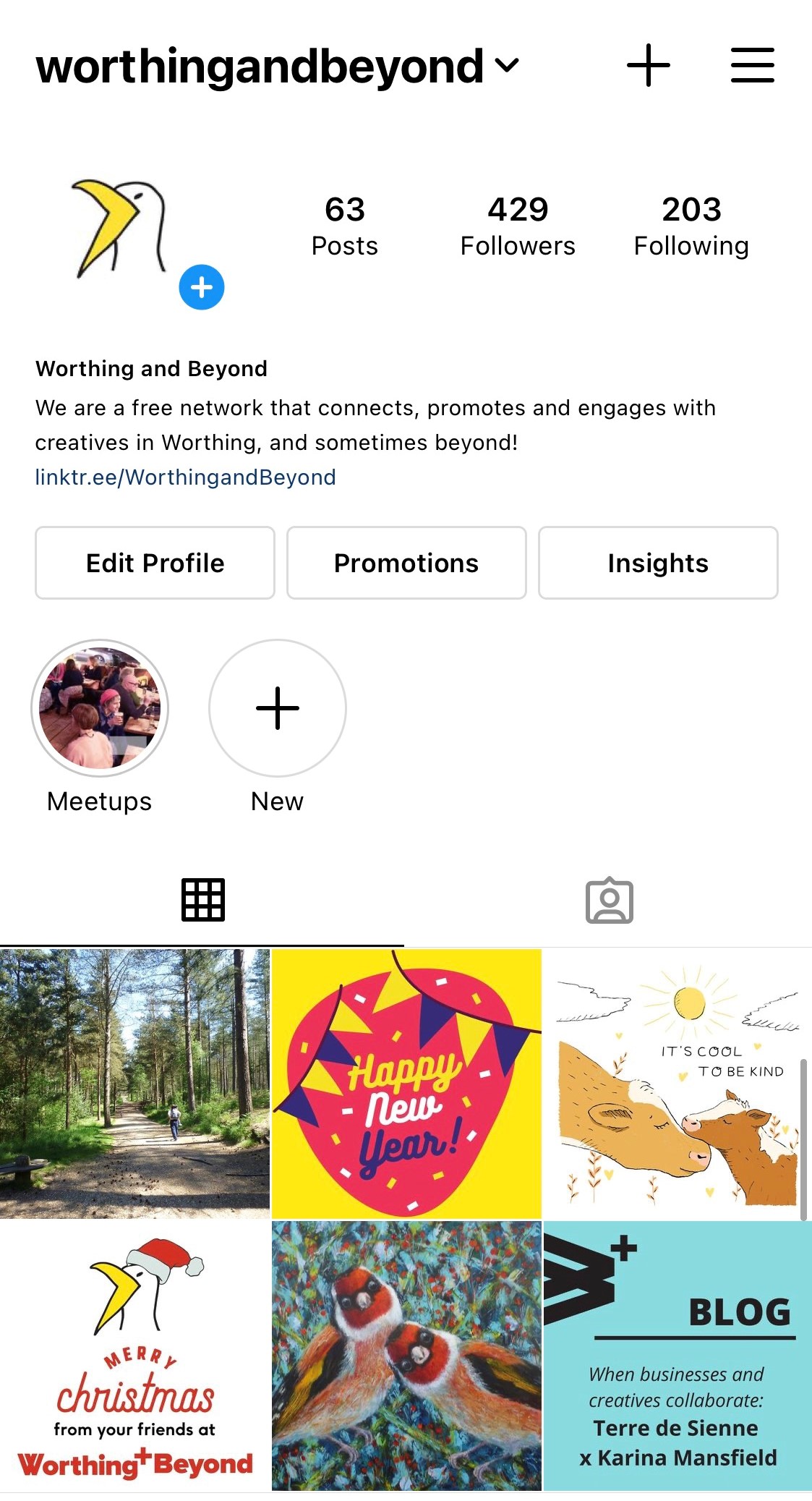 The Worthing & Beyond Instagram grid, showing the follower count of 429 and 6 of the most recent images