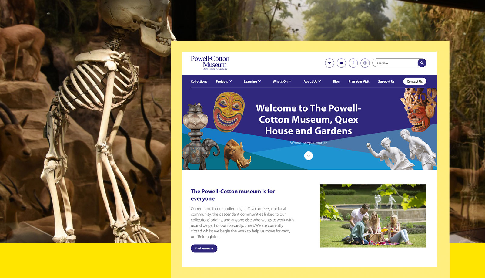 Screenshot of the Powell-Cotton Museum website overlaid on a photo of an exhibition of animals at the museum.