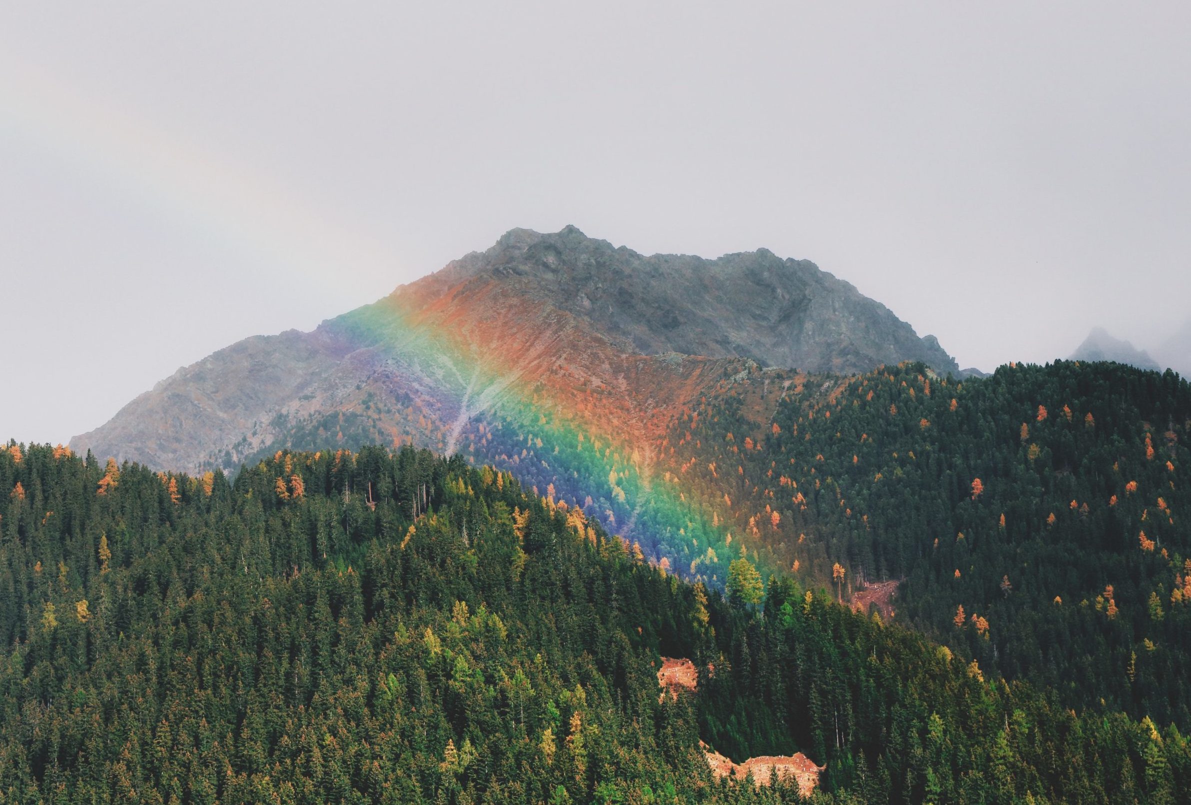 A rainbow rising from a forested range of hills and rocky peaks
